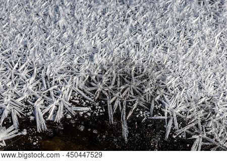 Ice Crystals Forming On Surface Of Frozen Pond