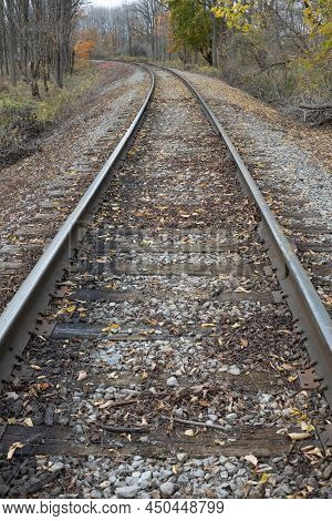 Low Angle Photo Of Single Train Track Through The Forest.
