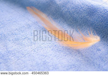 Soft Focus Brown Feather Fluffy Nature On Blue Towel Background.  Flat Lay And Free Space. Tendernes