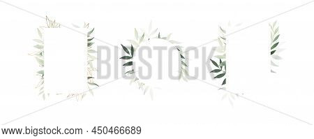 The Frames Set With Elegant Olive Green Leaves For Summer Greeting Postcard