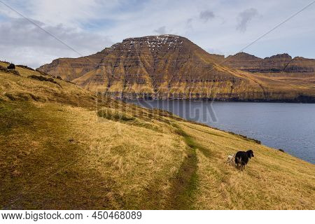 Steep Coast Of The Island Of Bordoy. Volcanic Archipelago In The Atlantic Ocean, Muli, Faroe Islands