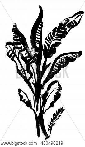 Black And White Silhouette African Banana Palm Trees Painted In Gouache Drybrush For Tropical Design