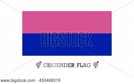 Cisgender Flag. Vector Illustration Lgbt Flat Design Isolated On White Background