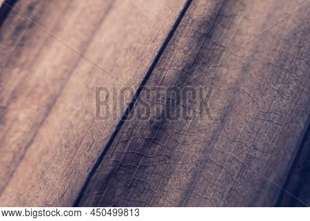 Macro Shot Abstract Real Beauty Nature Background. Dried Tropical Plant Leaf Surface Texture Structu