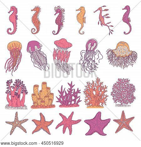 Seahorses, Jellyfish, Starfishes And Corals Different Forms. Vector Set Ocean Animals Underwater Lif