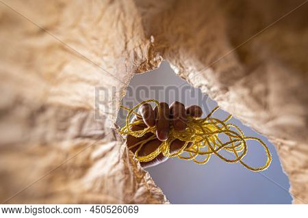 A Hand Holds A Yellow Thread Over An Open Paper Bag. A Mature Man's Hand Holds A Synthetic Tangled R