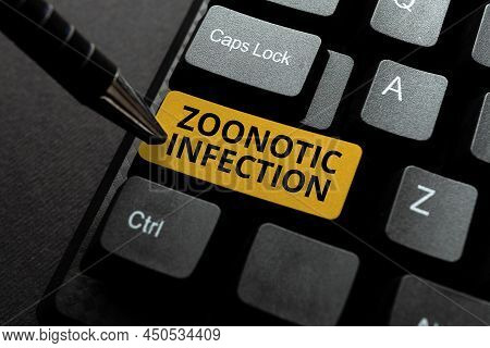 Conceptual Display Zoonotic Infection. Word Written On Zoonotic Infection Typing Online Tourist Guid