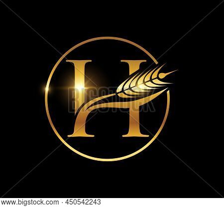 A Vector Illustration Of Golden Wheat Grain Monogram Initial Letter H