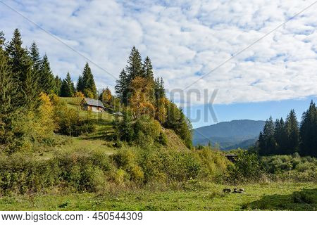Mountain Landscape, Autumn Sunny Day. Carpathian Mountains, Synevyrska Poliana, Zakarpattia Oblast,