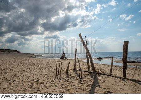 Carnikava, Latvia, Coastal Scene At The Baltic Sea With Fallen Trees In A Sunny Day