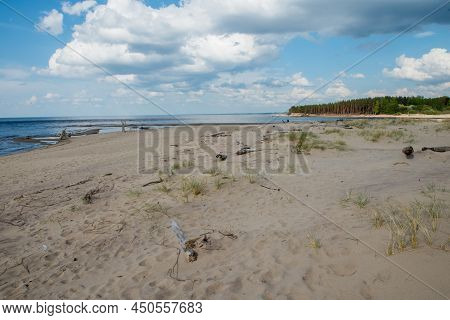 Carnikava, Latvia, Coastal Scene At The Baltic Sea With Fallen Trees In A Sunny Day