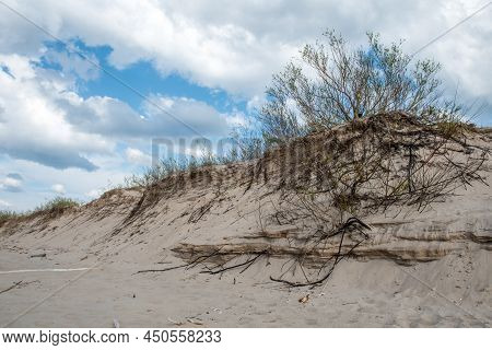 Dunes By The Baltic Sea With Sand And Grass. Carnikava, Latvia.