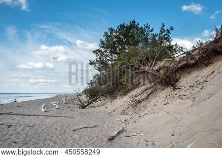 Dunes By The Baltic Sea With Sand And Grass. Carnikava, Latvia.