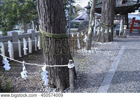 The Culture And Tradition Of Japanese Shrines Shimenawa. Shimenawa Is A Sacred Rope Of Ric-straw.it 