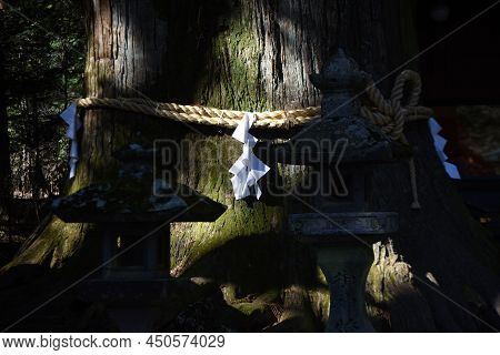 The Culture And Tradition Of Japanese Shrines Shimenawa. Shimenawa Is A Sacred Rope Of Ric-straw.it 