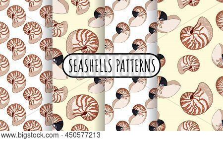Set Of Nautilus Shells Colorful Doodles Seamless Patterns. Background Templates Collection Of Stock 