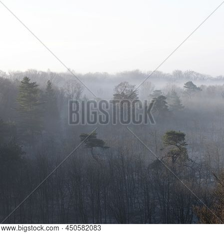Sunrise With Fog In Forest Near Doorn And Utrecht On Cold Winter Morning In The Netherlands Seen Fro