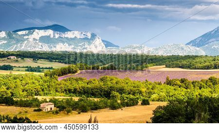French Landscape With Blooming Lavender Fields And Mountains In Distance. Puimoisson Region, Plateau