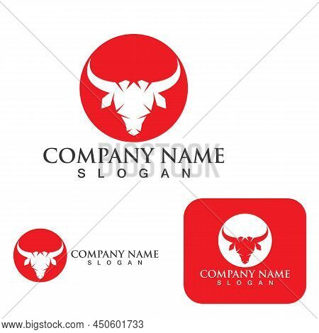 Cow Logo Template Vector Icon