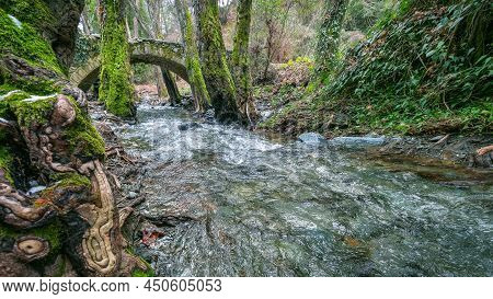 Forest Landscape With Medieval Stone Bridge In Troodos Mountains. Venetian Historical Landmark In Cy