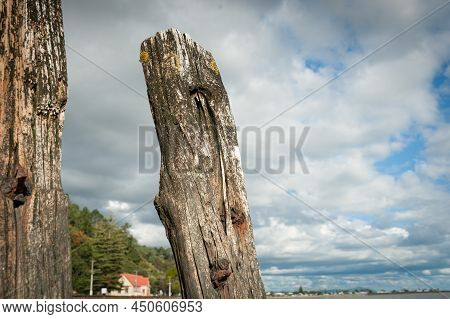 Old Jetty Posts Weathered And Worn On Taruru Beach With Hall Defocused In Background Along Coromande