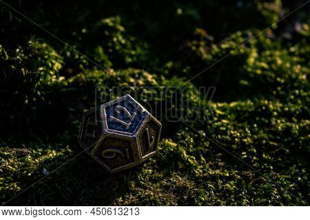 Close-up Image Of A12-sided Metal Role-playing Gaming Die In The Sun