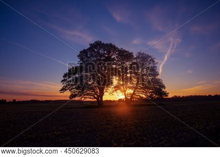 Beautiful Spring Sunreise Landscape With Trees. Seasonal Scenery Of Northern Europe.