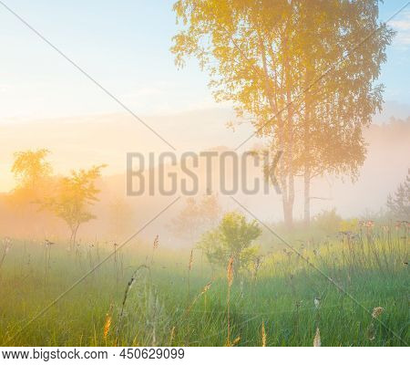 Beautiful Spring Sunreise Landscape With Trees. Seasonal Scenery Of Northern Europe.