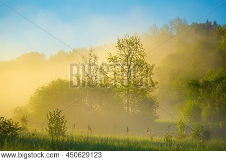 Beautiful Spring Sunreise Landscape With Trees. Seasonal Scenery Of Northern Europe.