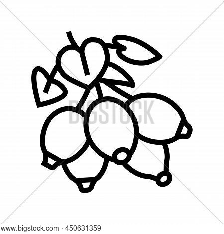 Dogrose Berry Line Icon Vector. Dogrose Berry Sign. Isolated Contour Symbol Black Illustration