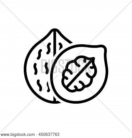 Black Line Icon For Walnut Nut Nutwood Hazel Dry-fruit Fruit Health Peeled