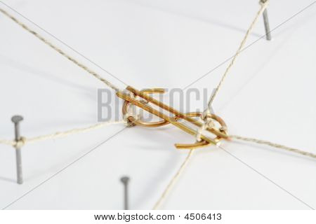 제한 된 달러 기호