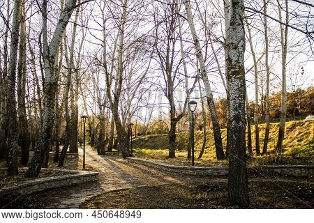 Image Of A Park Full Of Trees During Sunset In Ifrane City, Morocco. The Image Was Taken In December