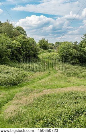 The Green Semi-natural Meadows Of The Kauwberg Nature Reserve , Summer,  Uccle, Belgium,