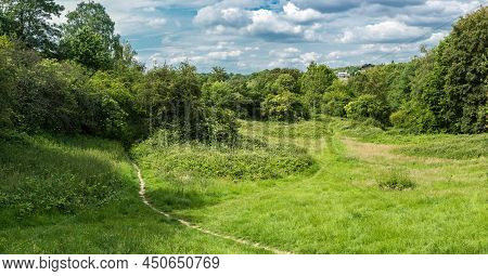 The Green Semi-natural Meadows Of The Kauwberg Nature Reserve , Summer,  Uccle, Belgium,