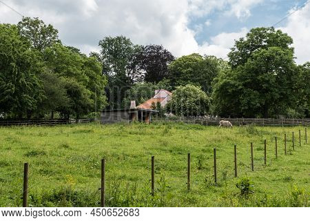 Uccle, Brussels - Belgium - 06 14 2019 - View Over The Green Meadows  And Trees Of The Vronerode - F
