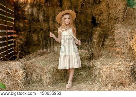 Romantic Tween Girl Standing On Hayloft During Summer Rural Vacation