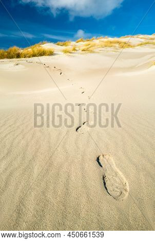 Bootprints Coming Down From The Sand Dune With Yellow Grass On Top Under Bright Blue Sky. Sunny Wint