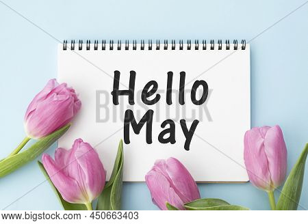 Hello May. Text On White Notepad Paper On Blue Background. Near Notepad With Pink Flowers.
