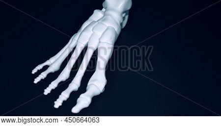 White Prototype Of The Human Foot Skeleton Printed On 3d Printer