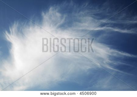 Cloud selvaggio