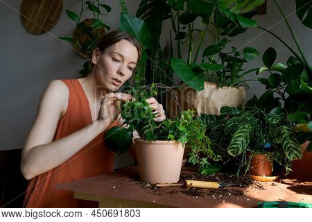 Young Woman Transplanting Flowers At Home. Beautiful Girl At Work With Home Plants In The Apartment.