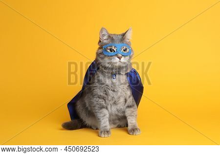 Adorable Cat In Blue Superhero Cape And Mask On Yellow Background