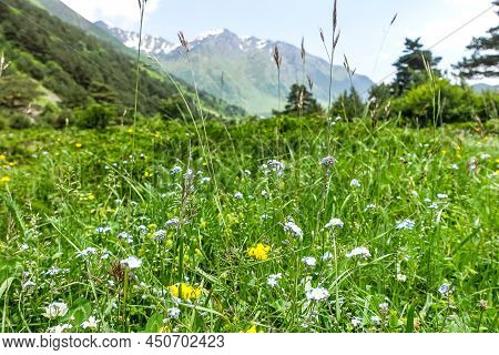 A Mountain Valley In The Gorge Of The Cherek-balkar River In The Vicinity Of The Ushtulu Tract. Cauc