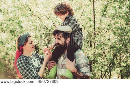 Happy Family In Garden. Lifestyle And Family Life. Small Boy With Father And Mother In Orchard In Sp