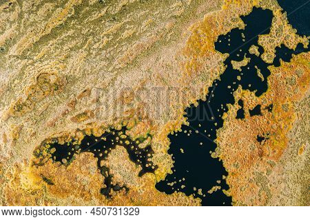 Miory District, Vitebsk Region, Belarus. The Yelnya Swamp. Upland And Transitional Bogs With Numerou