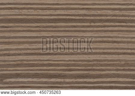 Zebrano Striped 5 Exotic Wood Panel Texture Pattern