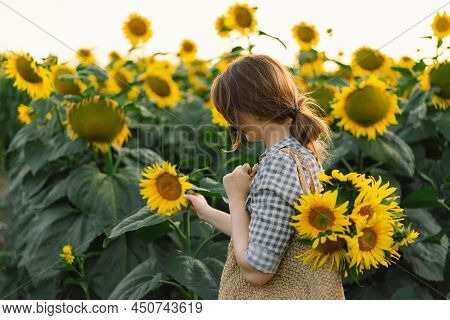 Beautiful Young Woman With Sunflowers Enjoying Nature And Laughing On Summer Sunflower Field. Woman 