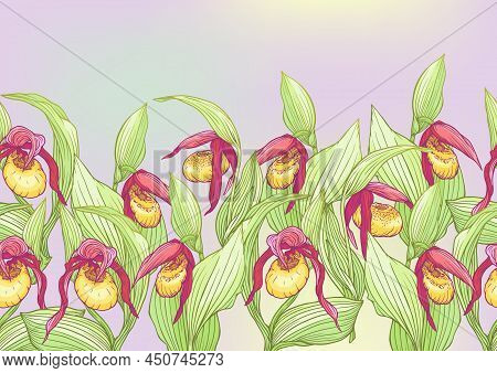 Ladys Slipper Orchid, Cypripedioideae, Seamless Pattern, Background. Vector Illustration. In Botanic