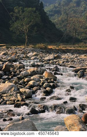 Himalayan Foothills And Scenic Landscape Of Terai Region, India